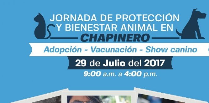 Segunda Jornada de Protección y Bienestar Animal en Chapinero