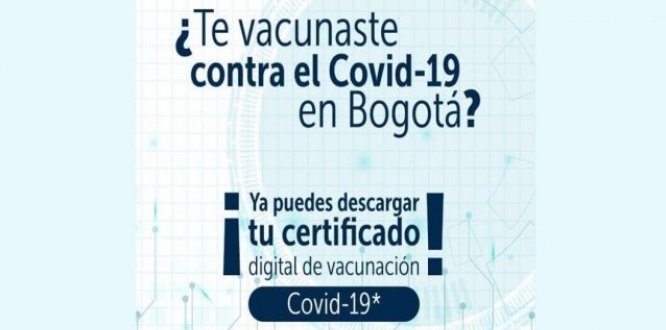 Sigue este paso a paso y descarga tu certificado digital de vacunación COVID-19