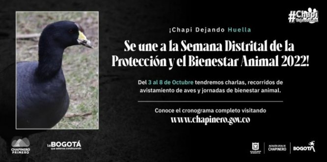 Chapinero se une a la Semana Distrital de la Protección y el Bienestar Animal