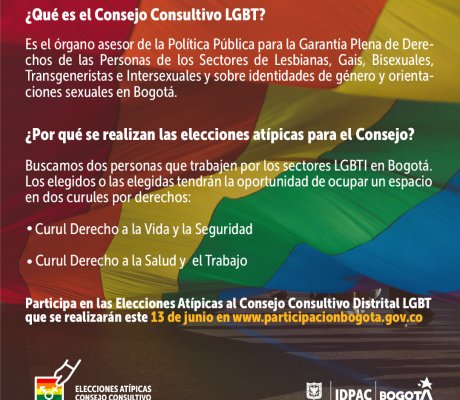 Abiertas Elecciones atípicas al Consejo Consultivo Distrital LGBT