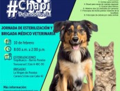 Jornada de esterilización y brigada médico-veterinaria en el barrio El Paraíso