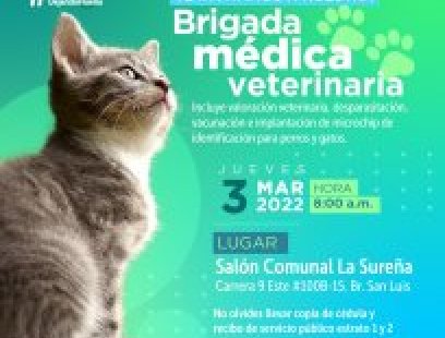 Brigada médica veterinaria para perros y gatos