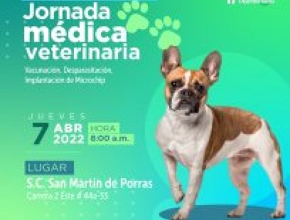Jornada médica veterinaria San Martín de Porras