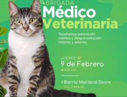 Brigada médico-veterinaria