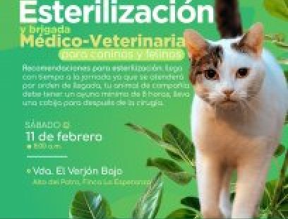 Jornada de esterilización y brigada médico-veterinaria