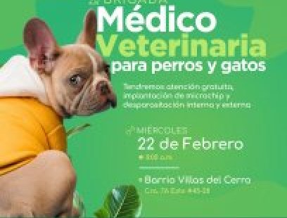 Brigada médico-veterinaria en el barrio Villas del Cerro