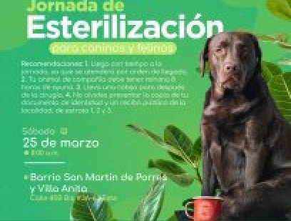 Jornada de esterilización en los barrios San Martín de Porres y Villa Anita