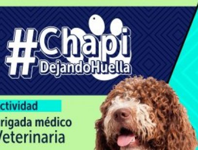 Brigada médico-veterinaria de Chapi Dejando Huella