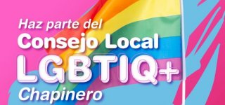 Contexto elección Consejo Local LGBTIQ+